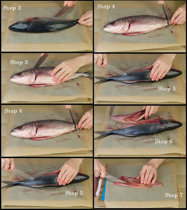 how to clean fresh tuna