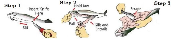 how to gut tuna